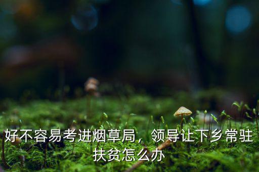 好不容易考進煙草局，領(lǐng)導(dǎo)讓下鄉(xiāng)常駐扶貧怎么辦