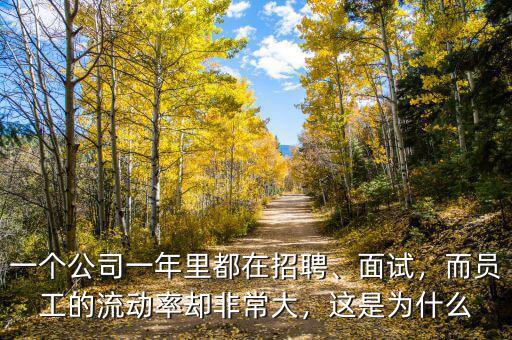 一個公司一年里都在招聘、面試，而員工的流動率卻非常大，這是為什么