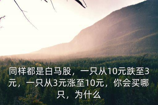 同樣都是白馬股，一只從10元跌至3元，一只從3元漲至10元，你會買哪只，為什么