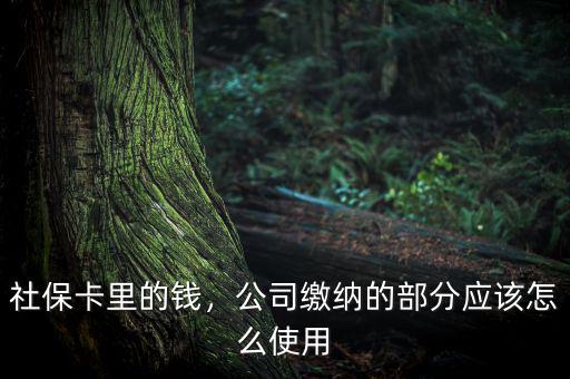 公司交的社保怎么用,社?？ɡ锏腻X(qián)