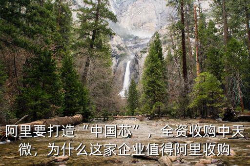 阿里要打造“中國芯”，全資收購中天微，為什么這家企業(yè)值得阿里收購
