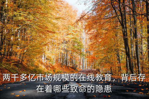 兩千多億市場(chǎng)規(guī)模的在線教育，背后存在著哪些致命的隱患