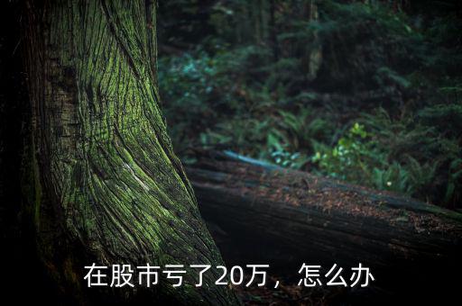 在股市虧了20萬，怎么辦