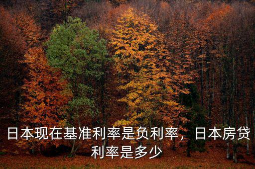 日本現(xiàn)在基準(zhǔn)利率是負(fù)利率，日本房貸利率是多少