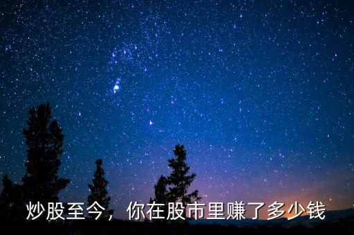 炒股至今，你在股市里賺了多少錢