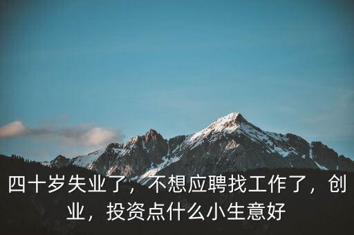 四十歲失業(yè)了，不想應(yīng)聘找工作了，創(chuàng)業(yè)，投資點(diǎn)什么小生意好