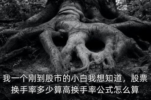 我一個剛到股市的小白我想知道，股票換手率多少算高換手率公式怎么算