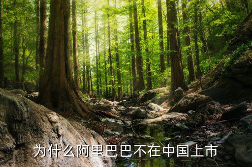 為什么阿里巴巴不在中國(guó)上市