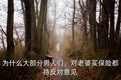 為什么大部分男人們，對老婆買保險都持反對意見