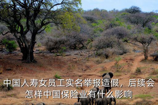 中國(guó)人壽女員工實(shí)名舉報(bào)造假，后續(xù)會(huì)怎樣中國(guó)保險(xiǎn)業(yè)有什么影響