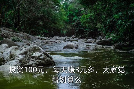 投資100元，每天賺3元多，大家覺得劃算么