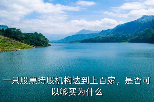 一只股票持股機構(gòu)達到上百家，是否可以夠買為什么