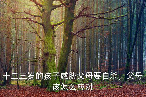 十二三歲的孩子威脅父母要自殺，父母該怎么應(yīng)對(duì)