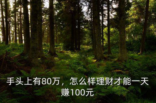 手頭上有80萬(wàn)，怎么樣理財(cái)才能一天賺100元