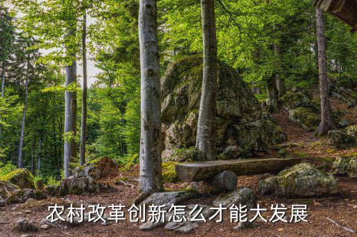 農村改革怎么改,農村改革創(chuàng)新怎么才能大發(fā)展