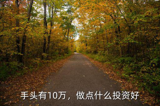 手頭有10萬，做點什么投資好