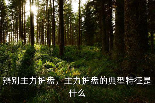 辨別主力護(hù)盤，主力護(hù)盤的典型特征是什么