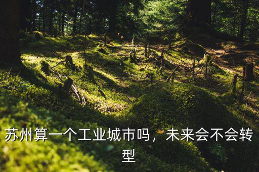 蘇州算一個工業(yè)城市嗎，未來會不會轉(zhuǎn)型