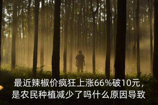 最近辣椒價(jià)瘋狂上漲66%破10元，是農(nóng)民種植減少了嗎什么原因?qū)е? class=