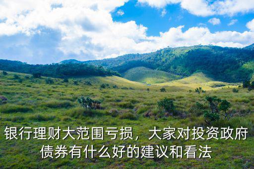 銀行理財(cái)大范圍虧損，大家對投資政府債券有什么好的建議和看法