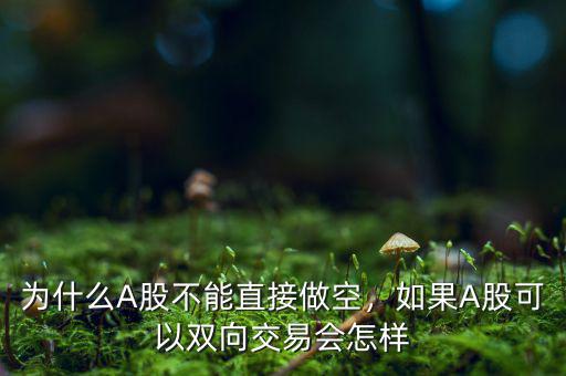 為什么A股不能直接做空，如果A股可以雙向交易會怎樣