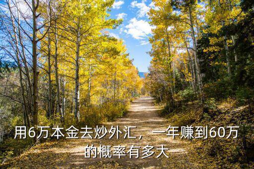 用6萬本金去炒外匯，一年賺到60萬的概率有多大