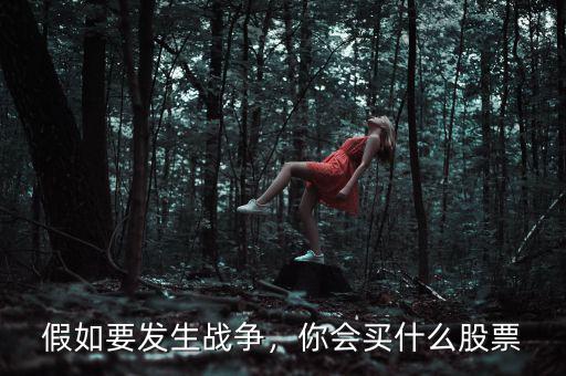 假如要發(fā)生戰(zhàn)爭，你會買什么股票