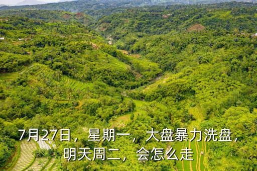 7月27日，星期一，大盤(pán)暴力洗盤(pán)，明天周二，會(huì)怎么走
