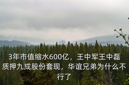 3年市值縮水600億，王中軍王中磊質(zhì)押九成股份套現(xiàn)，華誼兄弟為什么不行了