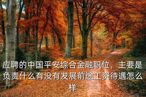 應聘的中國平安綜合金融職位，主要是負責什么有沒有發(fā)展前途工資待遇怎么樣