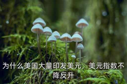 為什么美國大量印發(fā)美元，美元指數(shù)不降反升