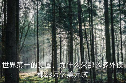 世界第一的美國(guó)，為什么欠那么多外債都23萬(wàn)億美元啦