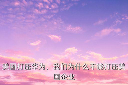 美國(guó)打壓華為，我們?yōu)槭裁床荒艽驂好绹?guó)企業(yè)