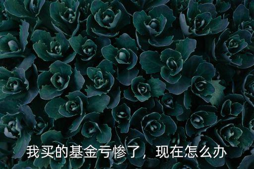 我買的基金虧慘了，現(xiàn)在怎么辦