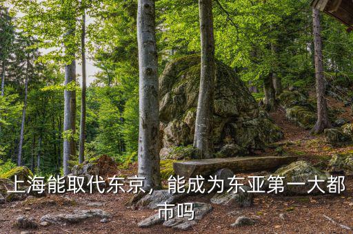 上海能取代東京，能成為東亞第一大都市嗎