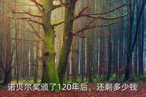 諾貝爾獎頒了120年后，還剩多少錢
