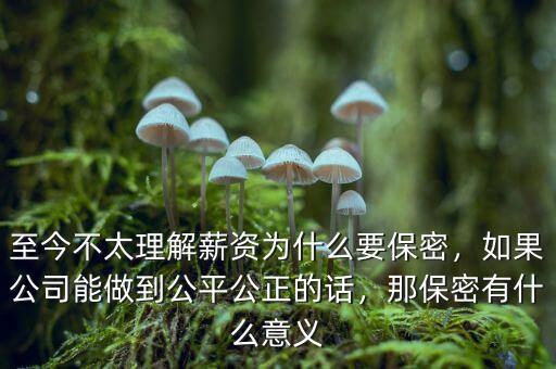 至今不太理解薪資為什么要保密，如果公司能做到公平公正的話，那保密有什么意義