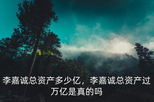李嘉誠總資產多少億，李嘉誠總資產過萬億是真的嗎