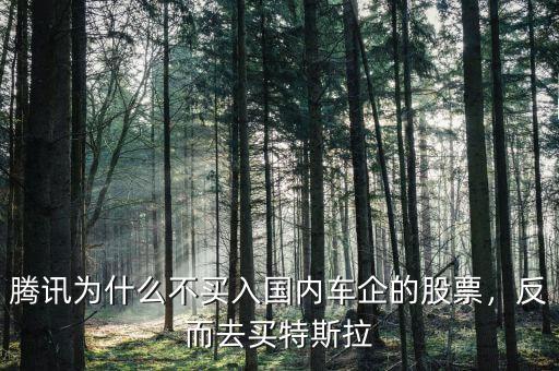騰訊為什么不買入國內(nèi)車企的股票，反而去買特斯拉