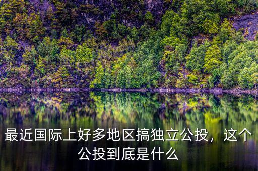 最近國(guó)際上好多地區(qū)搞獨(dú)立公投，這個(gè)公投到底是什么