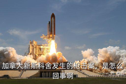 加拿大新斯科舍發(fā)生的槍擊案，是怎么回事啊