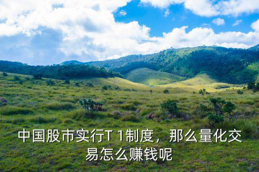 中國股市實(shí)行T 1制度，那么量化交易怎么賺錢呢