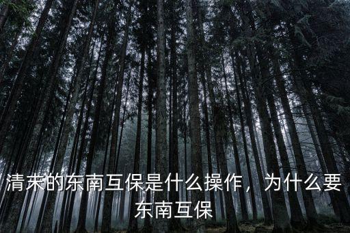 清末的東南互保是什么操作，為什么要東南互保