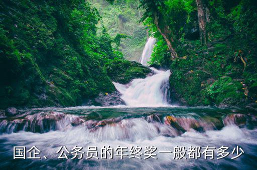 國(guó)企、公務(wù)員的年終獎(jiǎng)一般都有多少