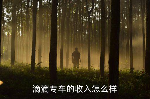 滴滴專(zhuān)車(chē)的收入怎么樣