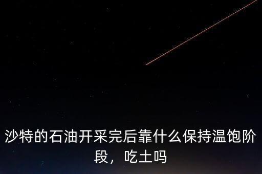 沙特的石油開采完后靠什么保持溫飽階段，吃土嗎