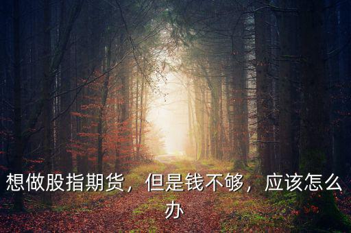 想做股指期貨，但是錢不夠，應該怎么辦