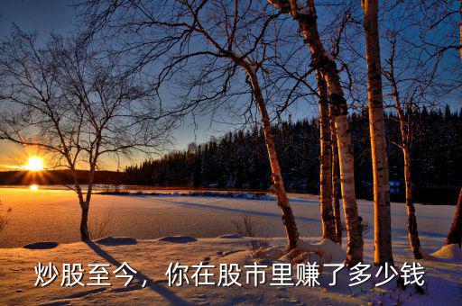 炒股至今，你在股市里賺了多少錢