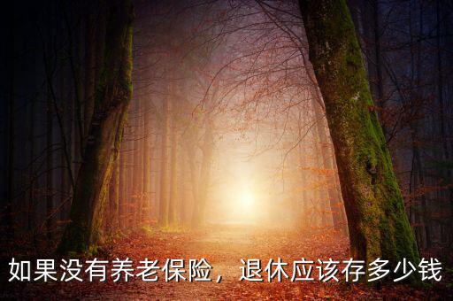 如果沒有養(yǎng)老保險，退休應(yīng)該存多少錢
