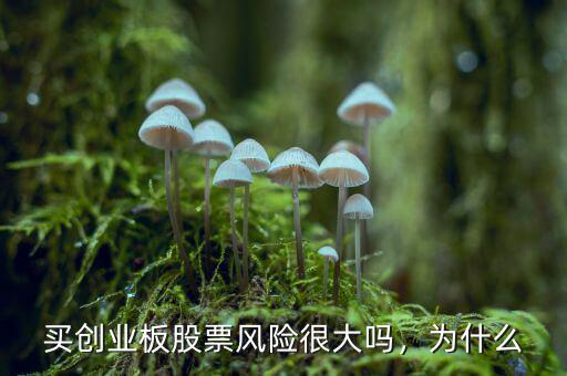 買創(chuàng)業(yè)板股票風險很大嗎，為什么